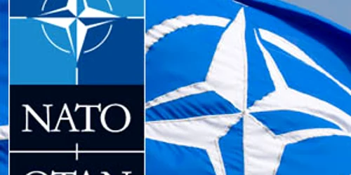 NATO FOTO FB png