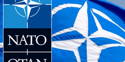 NATO FOTO FB png