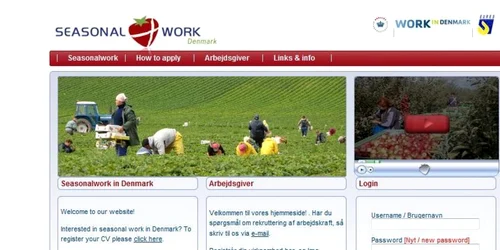 Site-ul danez de recrutare are şi un filmuleţ cu oamenii la muncă 