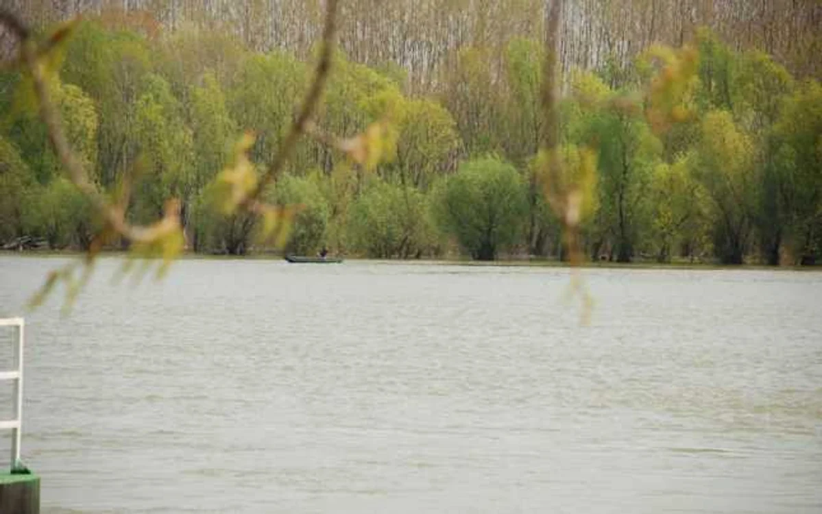 FOTO Florentin Coman