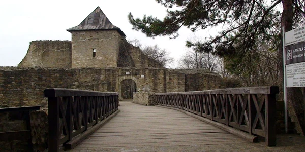 Cetatea de Scaun a Sucevei