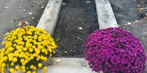 Așa arată acum mormântul regretatei actrițe Florina Cercel jpg