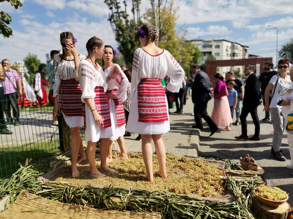Zdrobitul strugurilor face parte din programul festivalului de câțiva ani FOTO: Alina Mitran