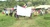 ducii de cambridge protest3 png