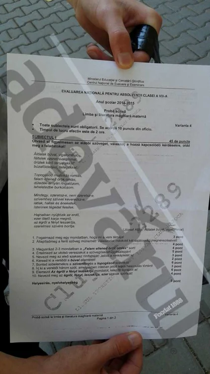 Limba Maternă Maghiara Evaluare Nationala 2015