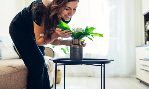 1 flori de apartament jpg jpeg