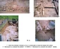 sarmizegetusa regia Cronica Cercetărilor Arheologice din România Campania 2005 