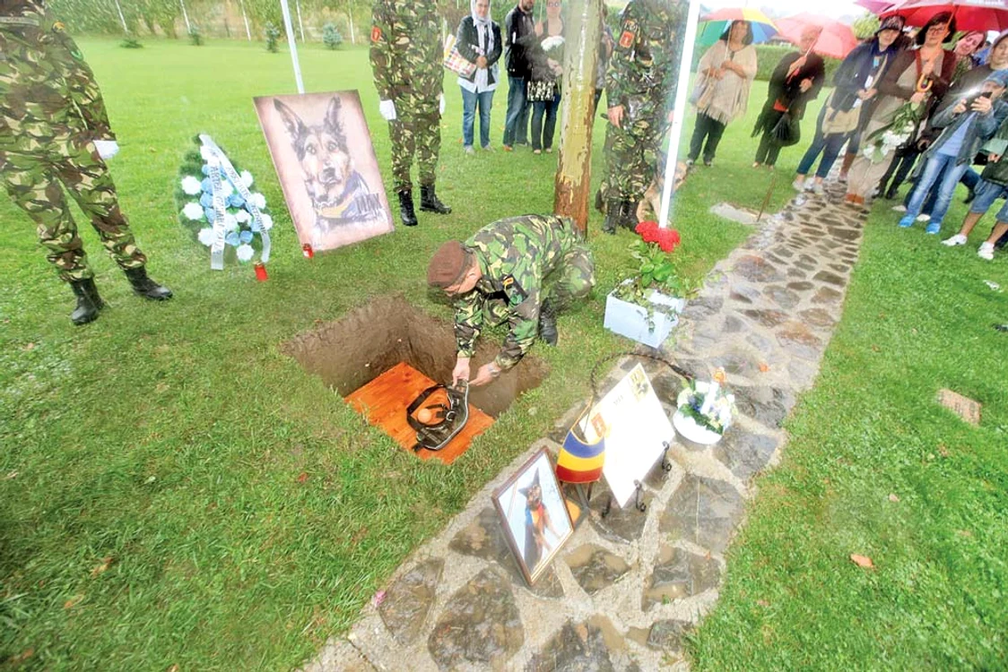 A luat cu el mingiuca preferată, lesa şi hamul de militar al Armatei Române