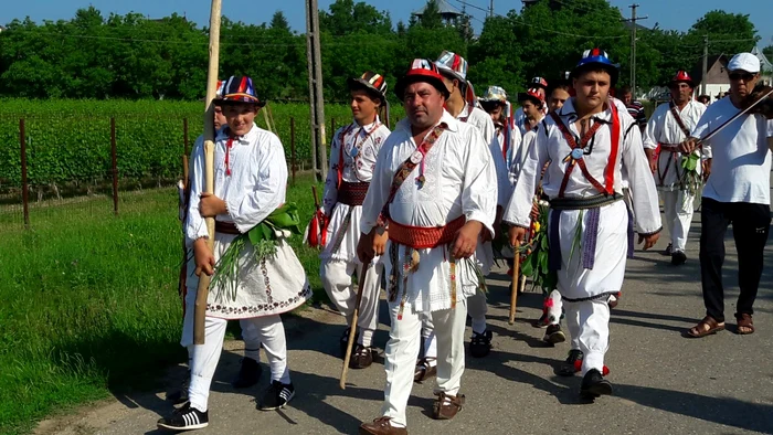 concurs căluşari dobroteasa