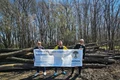 11  Taieri de padure in Corbeanca, martie 2024 foto  Alex Găvan   centuraverde ro jpg