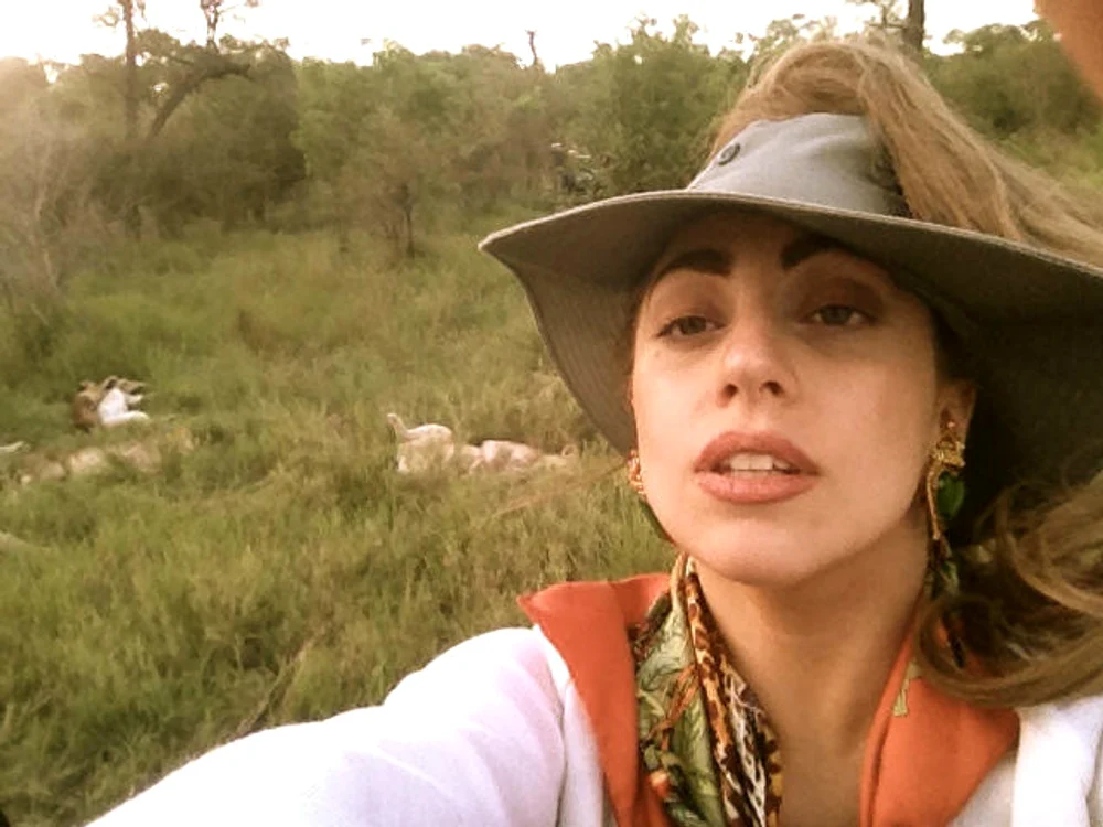gaga