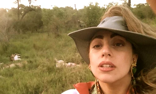 gaga jpeg