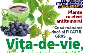 coperta septembrie 2023 jpg