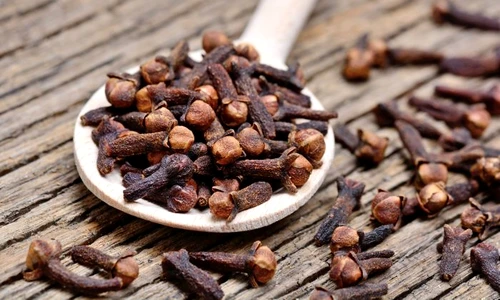 1 shutterstock 776659735 jpg jpeg