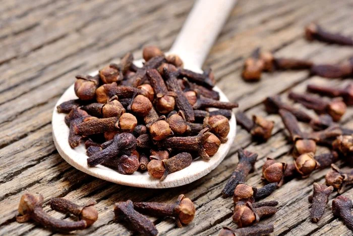 1 shutterstock 776659735 jpg jpeg