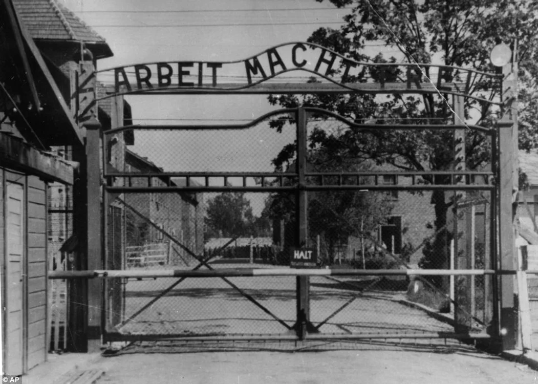 Lagarul Auschwitz - intrare 