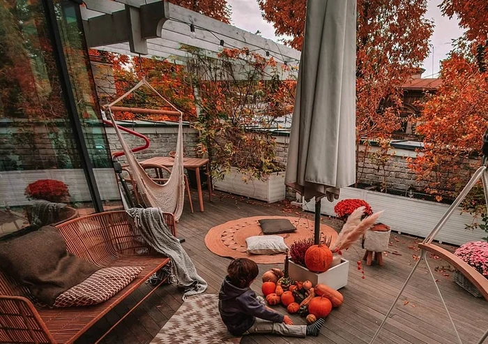 Dana Rogoz și fiul eifoto: instagram