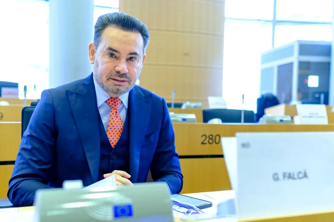 Gheorghe Falcă, europarlamentar PNL FOTO: Facebook