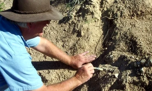 Vestigii de peste 11 milioane de ani au fost descoperite la Vaslui jpeg