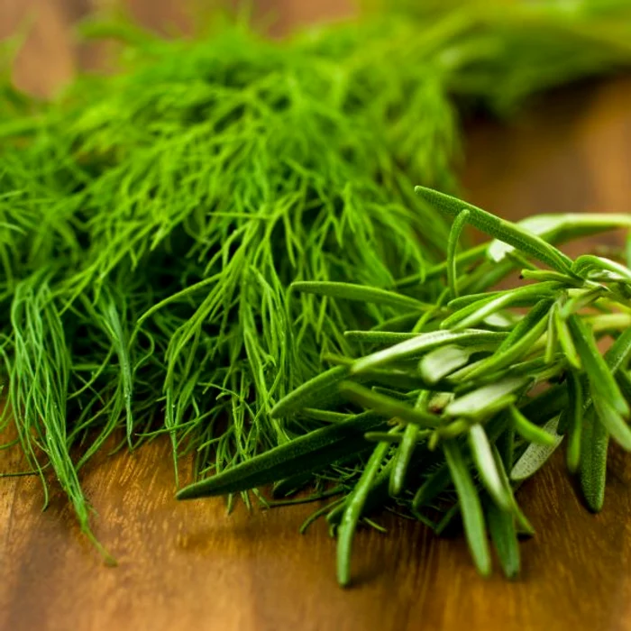 Semințele de mărar nu sunt indicate femeilor însărcinate și copiilorclicksanatate.ro