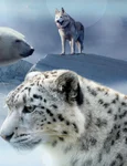 Ce animal esti in functie de semnul tau zodiacal Sursa foto Pixabay jpg