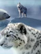 Ce animal esti in functie de semnul tau zodiacal  Sursa foto Pixabay jpg