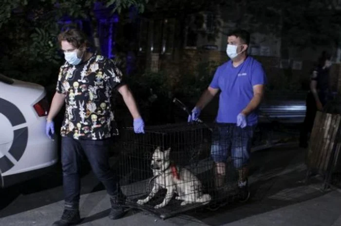 Câinele lui Costin Mărculescu a fost luat din apartament