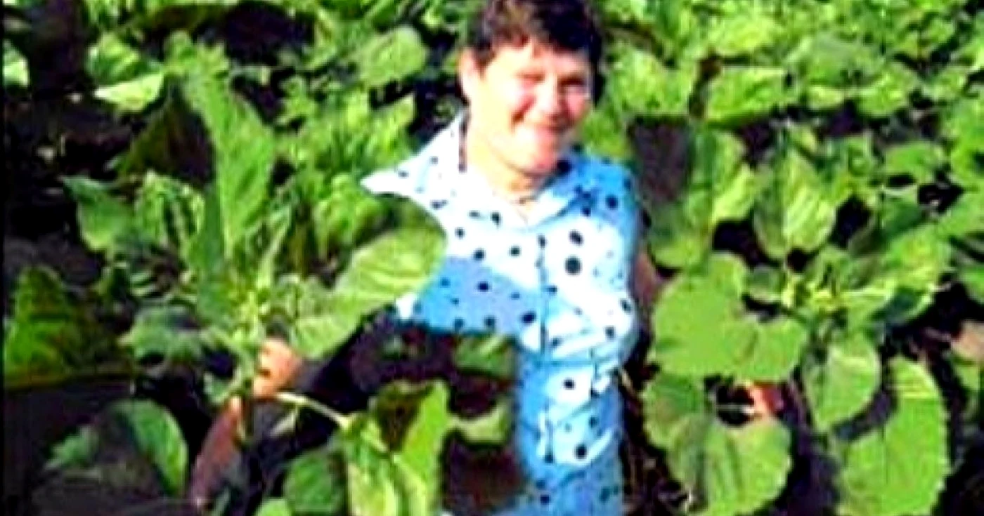 Eroina regizorului olandez