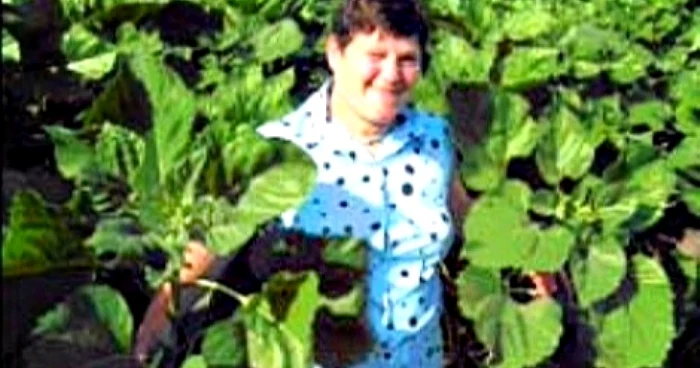 Eroina regizorului olandez