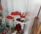 jucarii muzeu