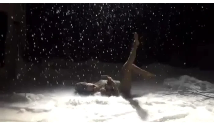 Delia, senzuală în zăpadă