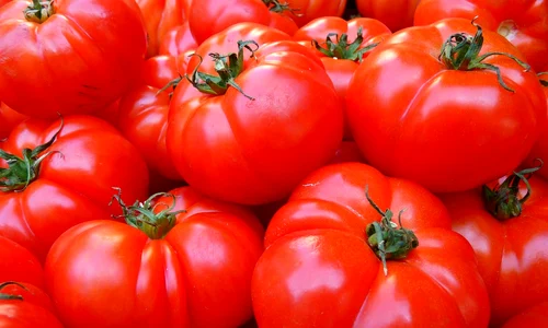 tomatoes 5356 1280 jpg