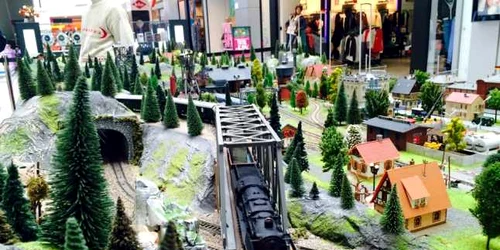 Trenulet in miniatura