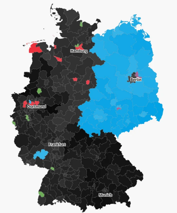 AfD a obținut aproape toate voturile din Germania de Est FOTO The Guardian