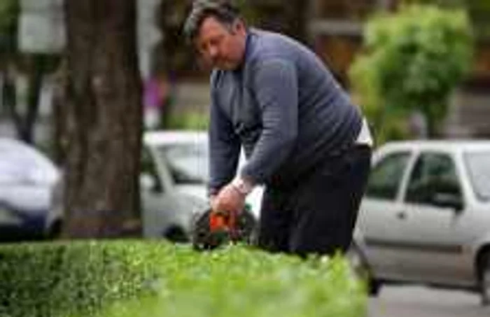 Sunt din ce în ce mai puţine flori