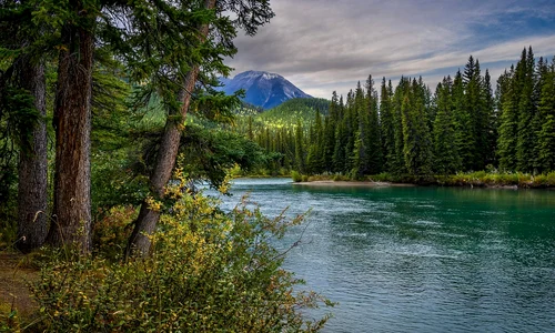 river 5936686 1280 jpg