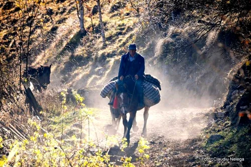 fundatura ponorului foto claudiu nelega