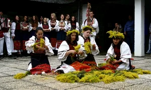 muzeul satului ae 1 jpeg