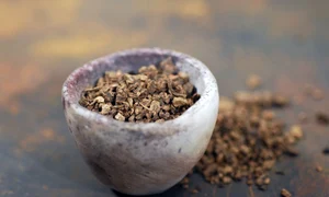 valeriana beneficii jpeg