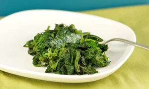 mancarica de urzici jpeg