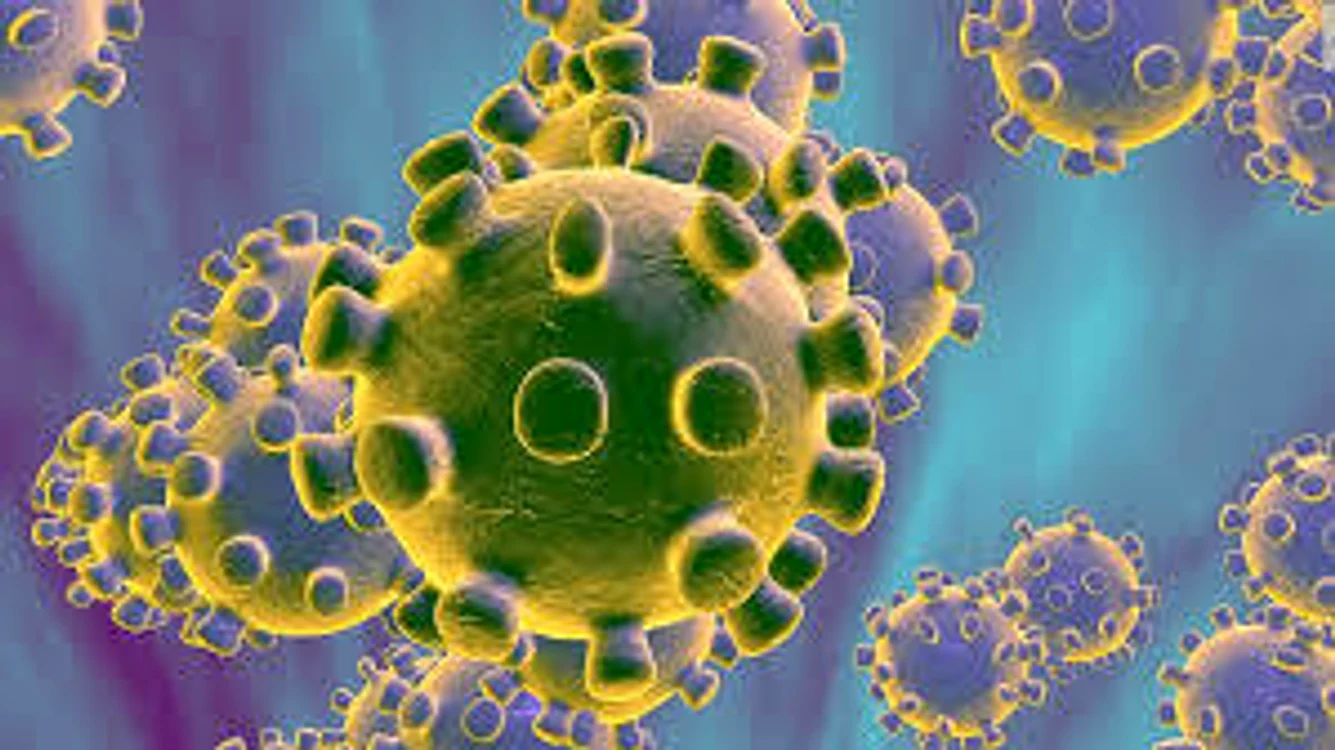 1 coronavirus jpg jpeg