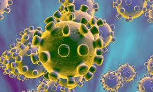 1 coronavirus jpg jpeg