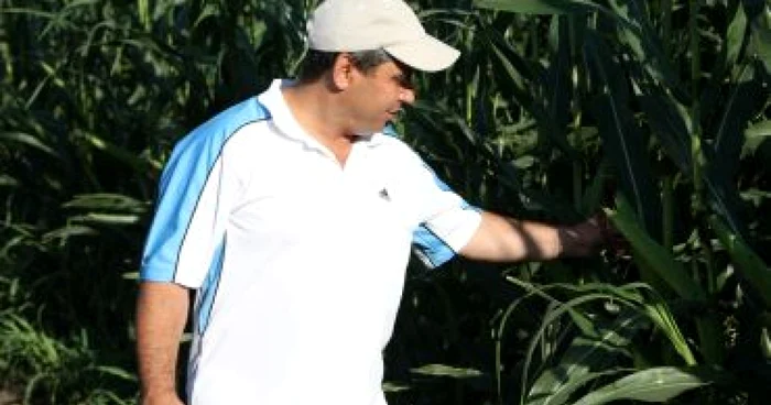 Victima lui domn’ Costel a furat o insulă - Revista presei interne