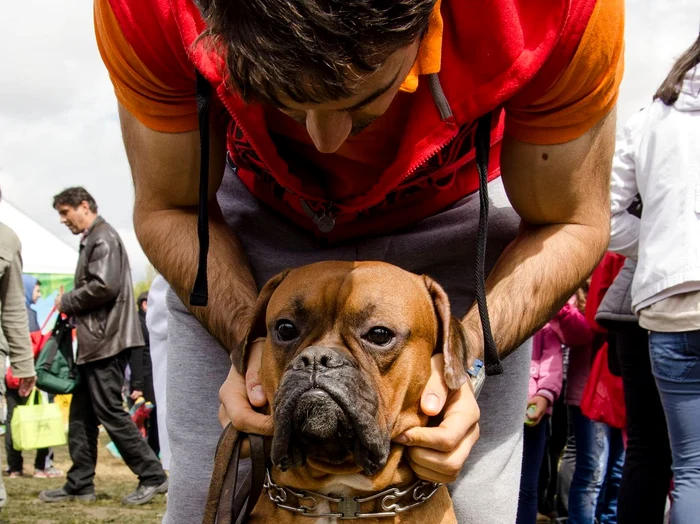 Subiectul a fost dezbătut în cadrul emisiunii Un Show PăcătosFoto Antena 1