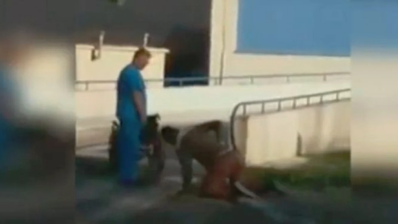 Imagini șocante la Spitalul Județean Călărași: un pacient se târăște pe asfalt în fața unității medicalecaptura stiripesurse.ro