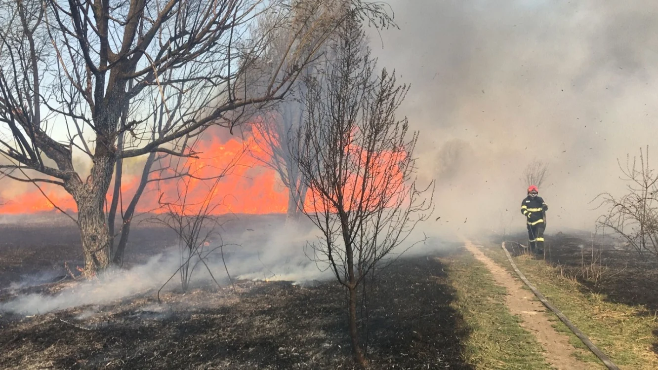 Incendiu de vegetație în județul Tulcea