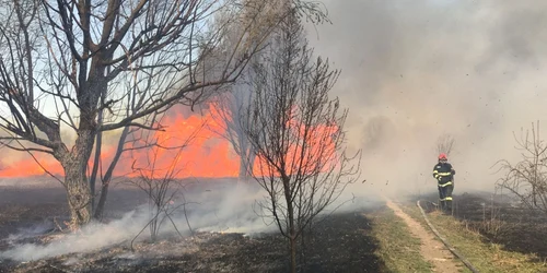 Incendiu de vegetaţie în Parcul Natural Văcăreşti foto isu