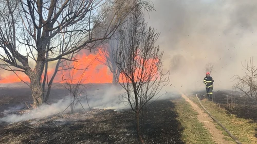 Incendiu de vegetaţie în Parcul Natural Văcăreşti foto isu