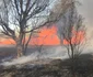 Incendiu de vegetaţie în Parcul Natural Văcăreşti foto isu