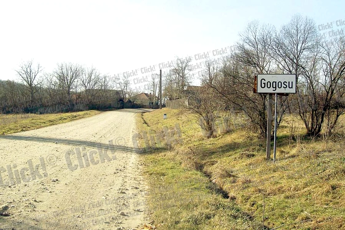 
    Comuna Gogoşu (FOTOGRAFII: ANDREEA MITRACHE)  